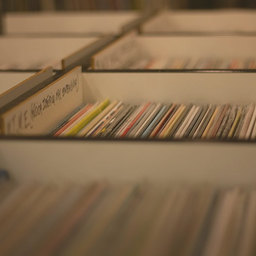 Vinyl